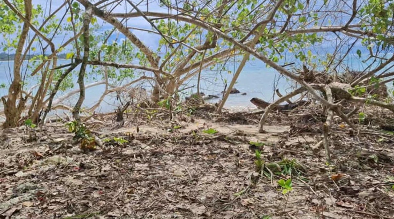 460 m² Beachfront Micro-Parcel