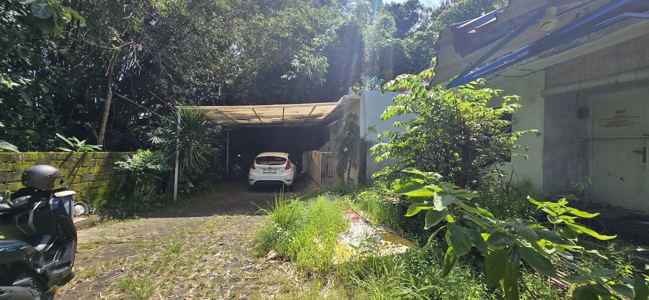 Auction House for Sale