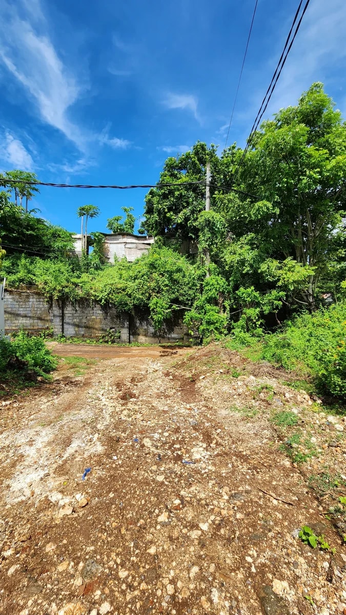 DO 65 - LAND FOR SALE IN PANDAWA BALI 