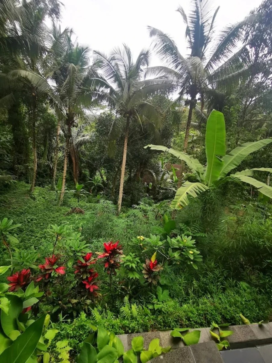 Villa with Enchanting Jungle Views