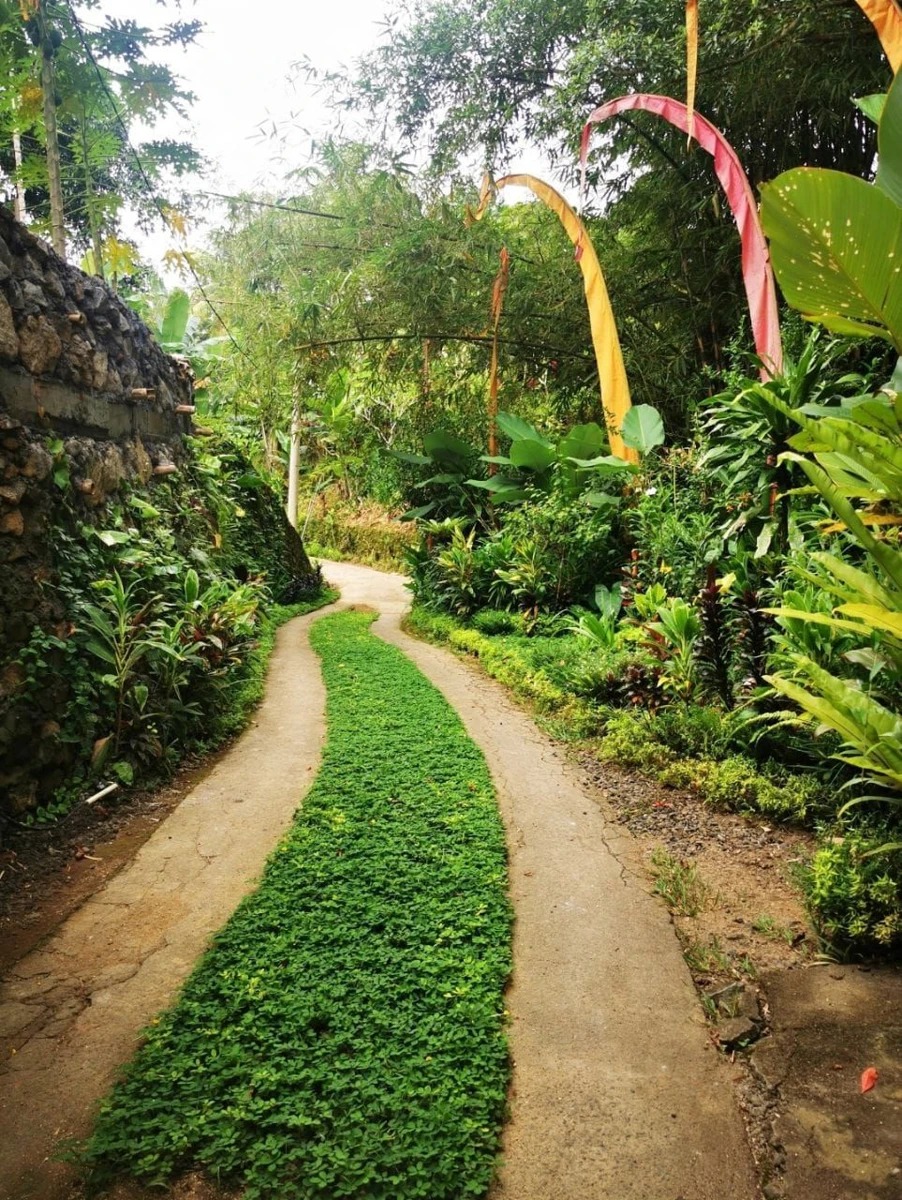 Villa with Enchanting Jungle Views
