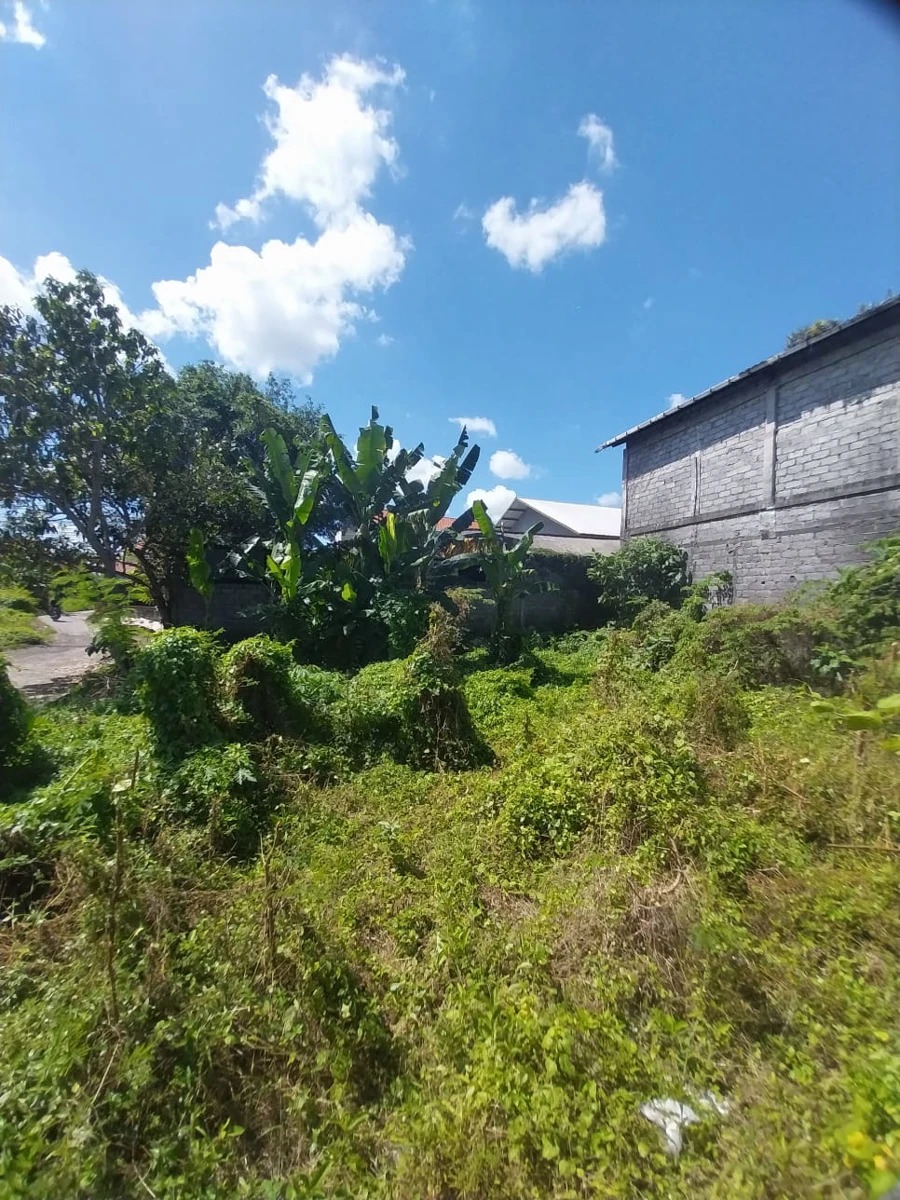 DO 26 - LAND FOR SALE IN CANGGU BALI
