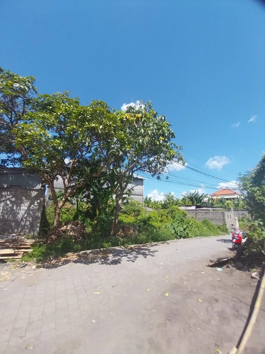 DO 26 - LAND FOR SALE IN CANGGU BALI