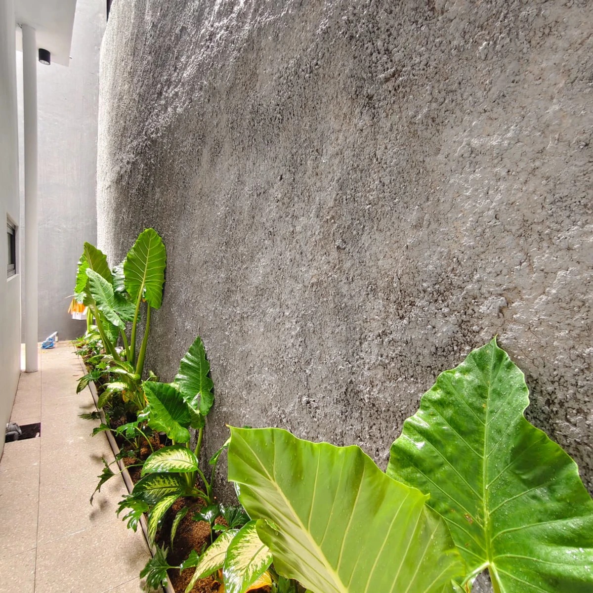 DO 463-HOUSE MODERN AT TABANAN