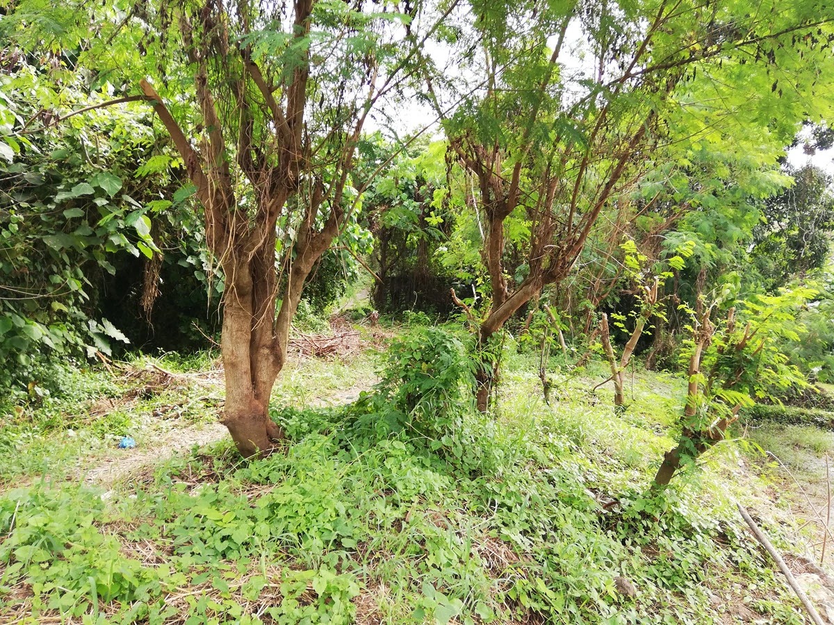 YEH GANGGA, 2,180 m² Riverfront Land
