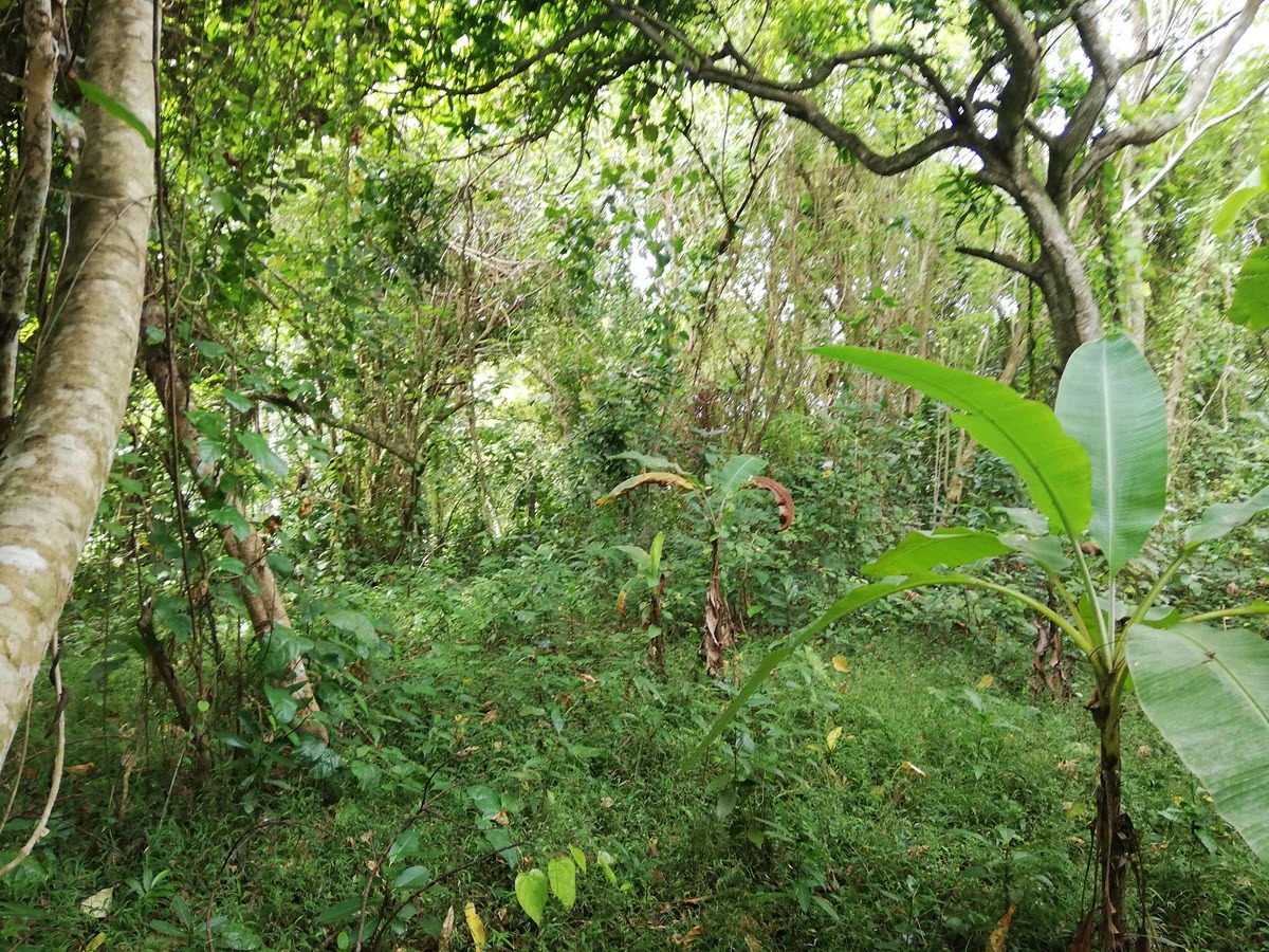 YEH GANGGA, 2,180 m² Riverfront Land