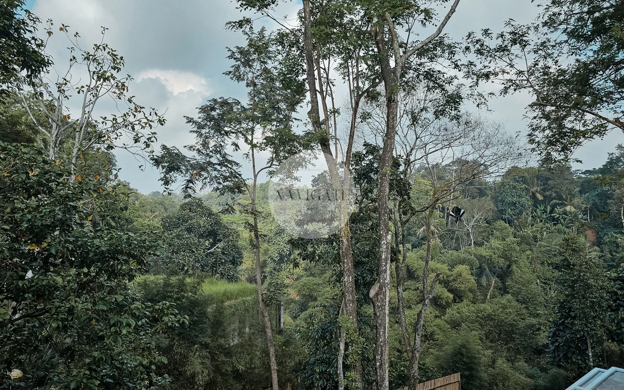 Villa TreeTops | 4-Bedrooms Jungle view