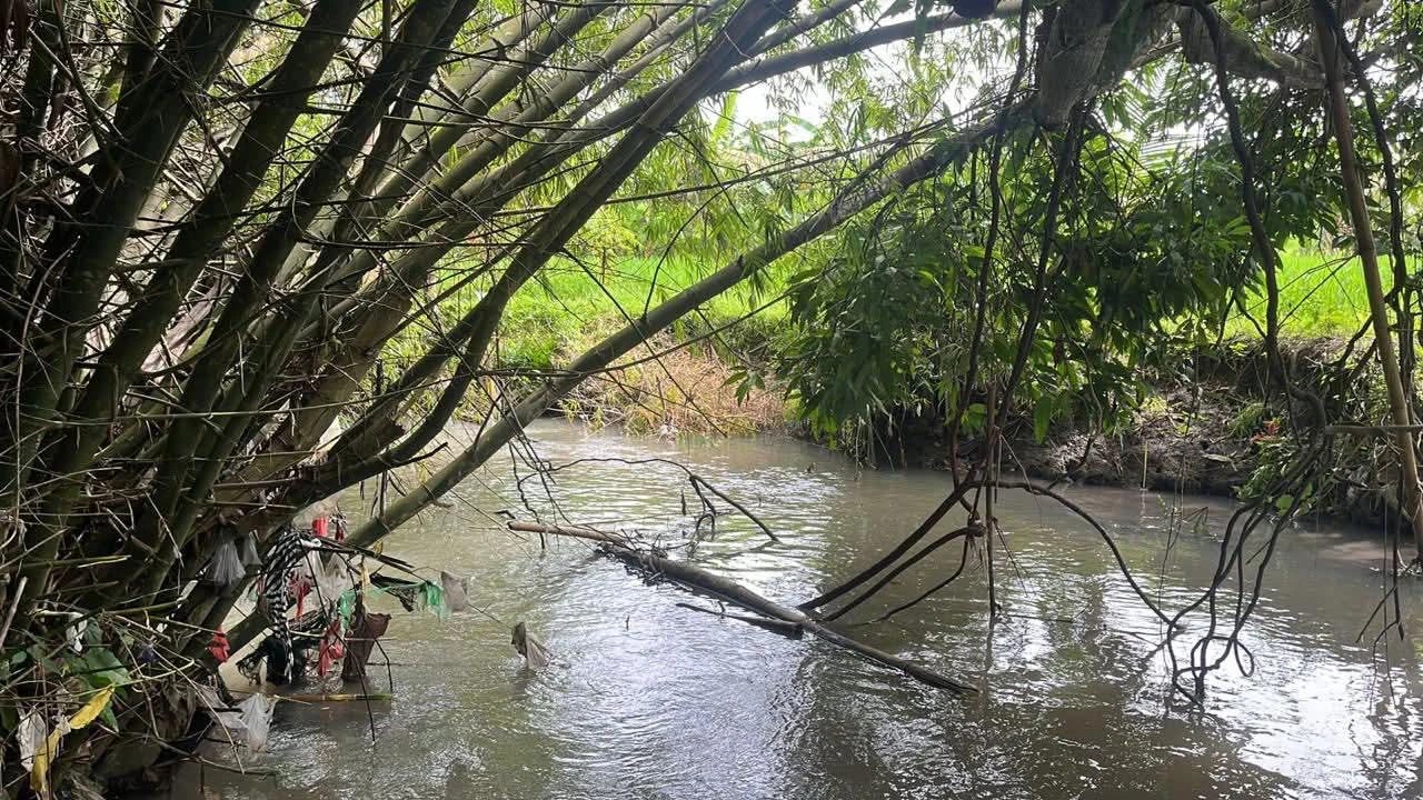 # Land for Sale in Kedungu, Bali - 