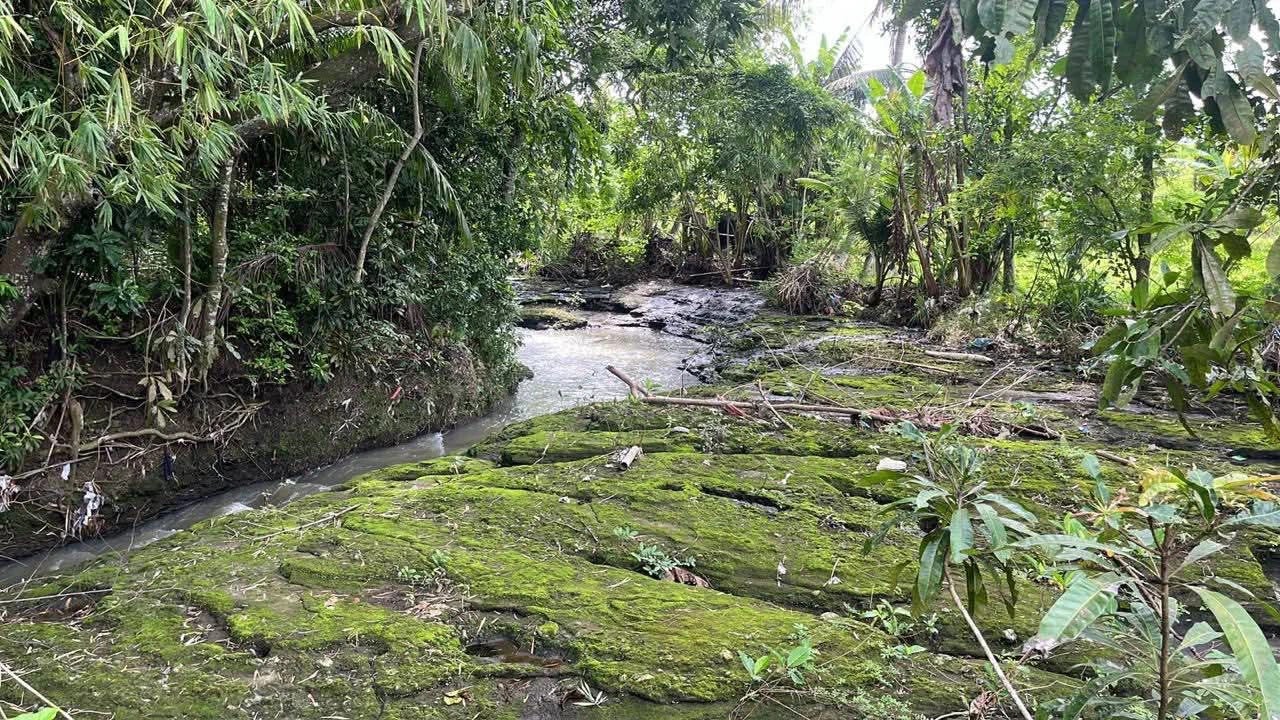 # Land for Sale in Kedungu, Bali - 