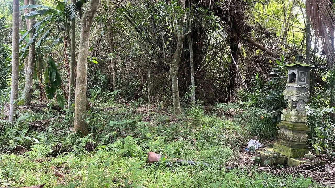 # Land for Sale in Kedungu, Bali - 