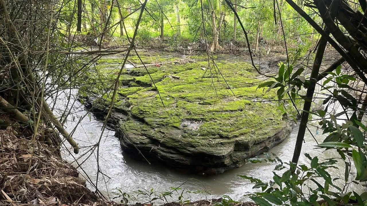 # Land for Sale in Kedungu, Bali - 