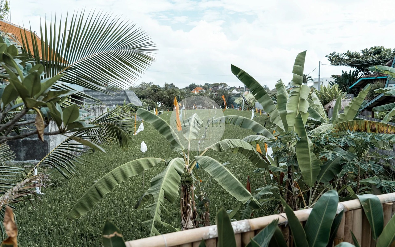 Casa Linjong | 4-Bedrooms central Canggu