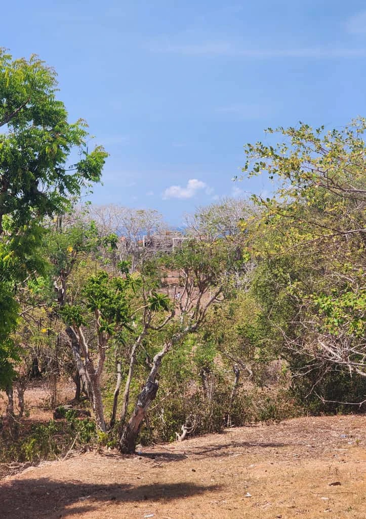 DO 49 - LAND FOR SALE IN KUTUH BALI