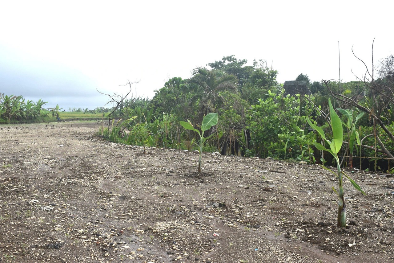 8.45 ARE of Ready-to-Build Freehold Land