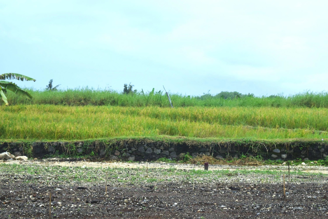 8.45 ARE of Ready-to-Build Freehold Land