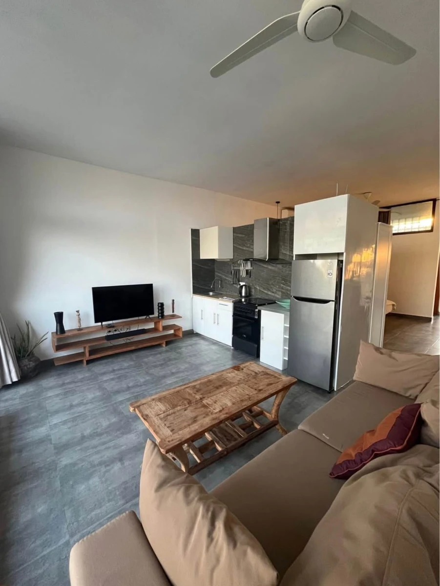 1 Bed Studio Villa Canggu