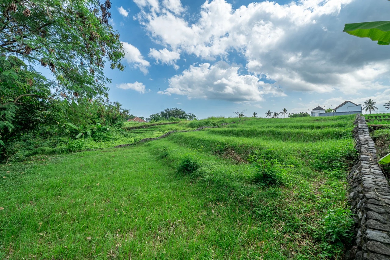 Best Offer - 675 sqm Land For Lease