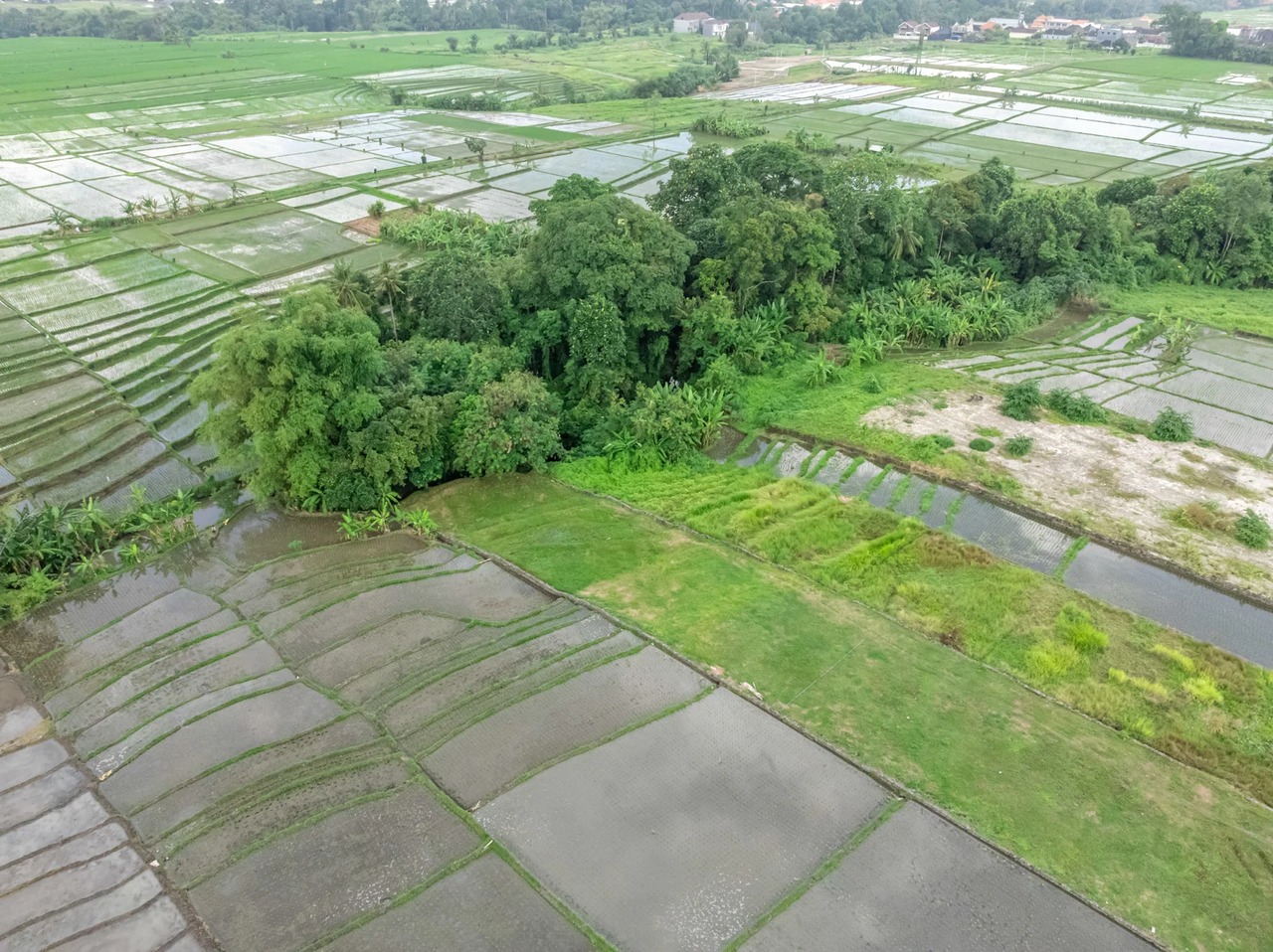 Best Offer - 675 sqm Land For Lease